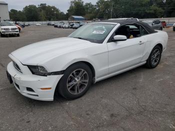  Salvage Ford Mustang