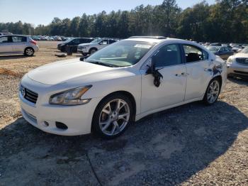  Salvage Nissan Maxima