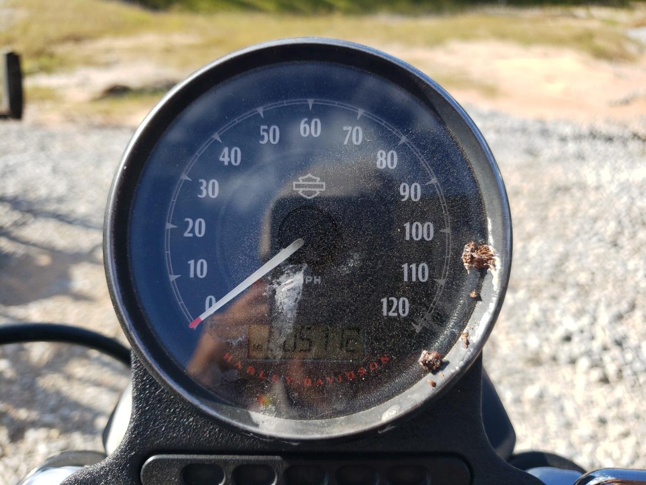 Harley-Davidson Xl883 N N Image 6