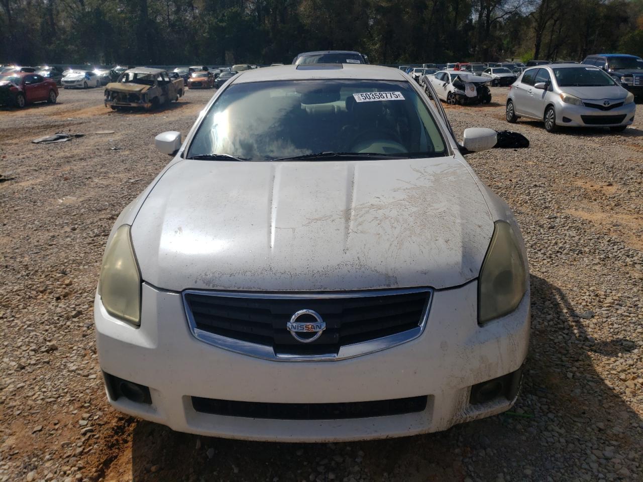 Nissan Maxima Se Image 10