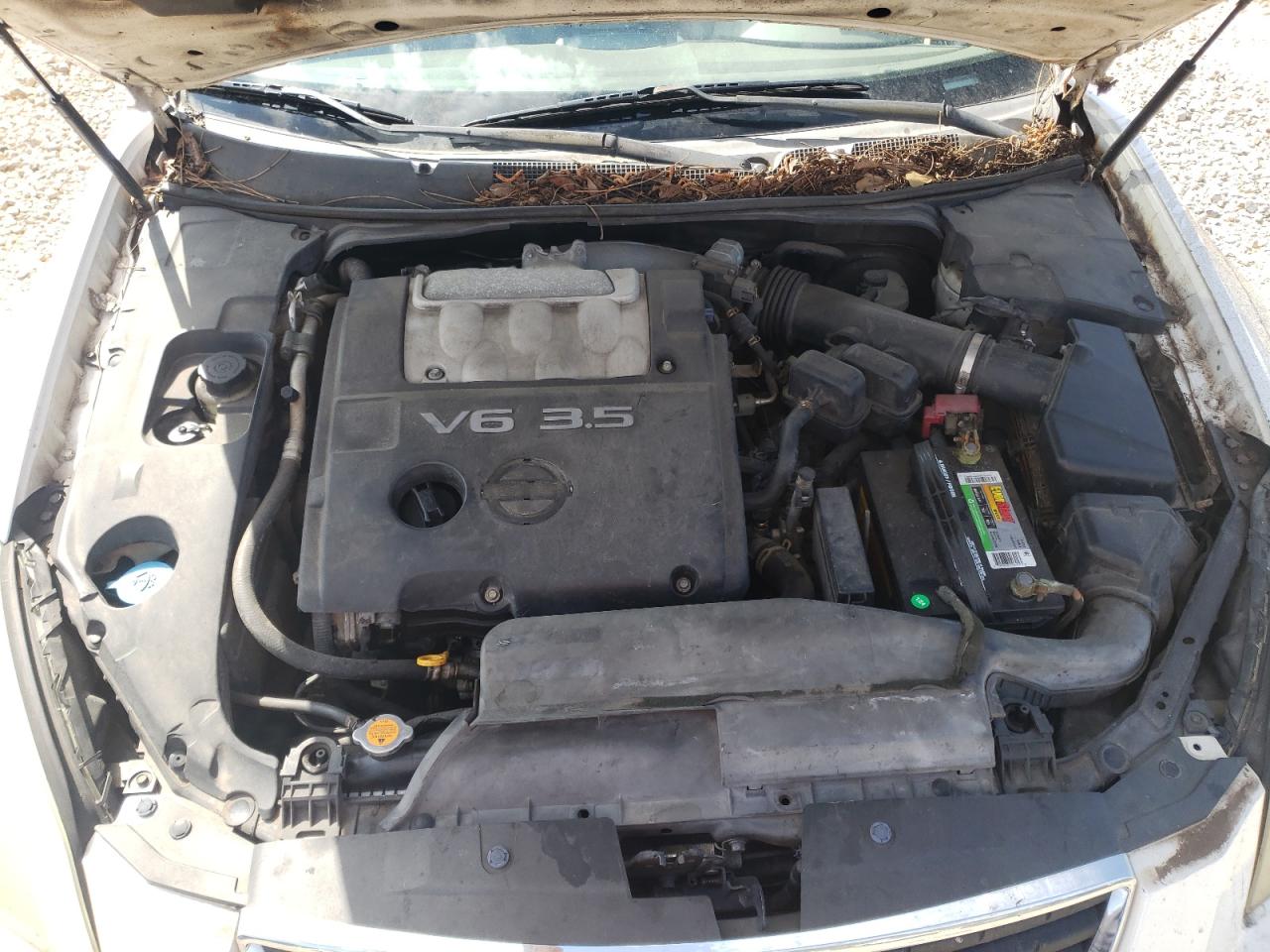 Nissan Maxima Se Image 6