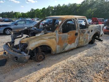  Salvage Ford F-150