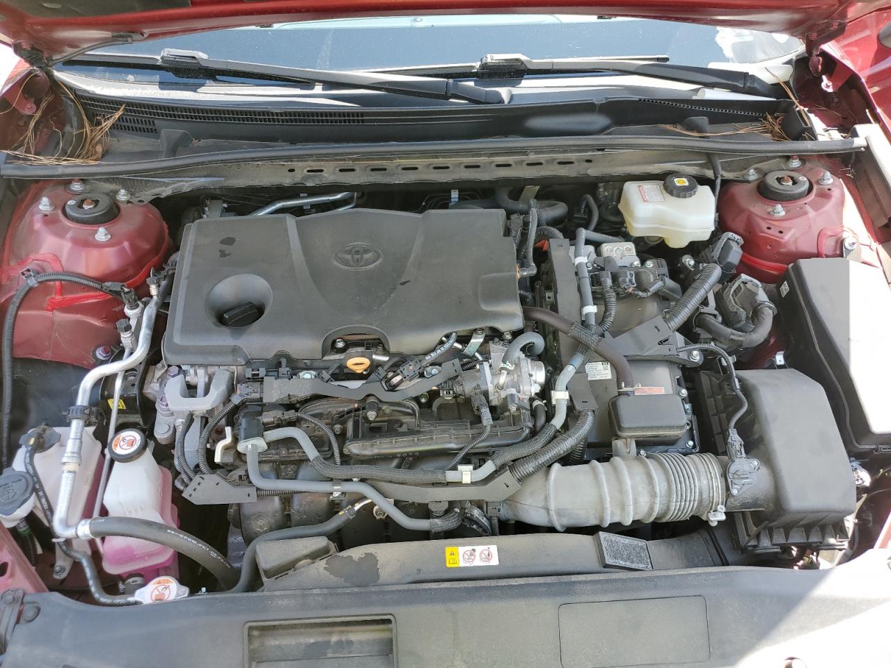 Toyota Camry Xle Image 9