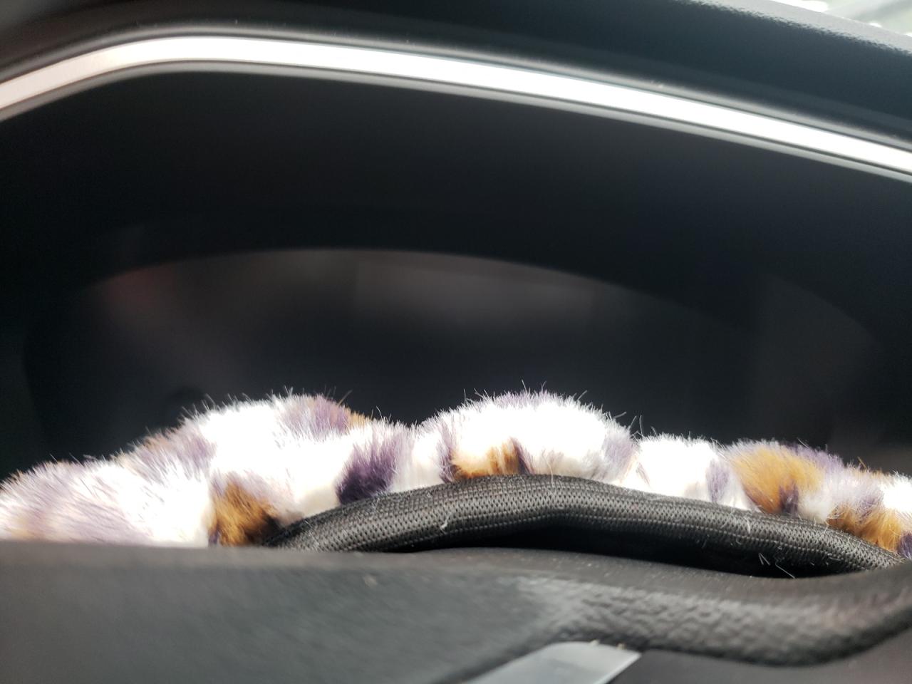 Ford Escape Se Image 5