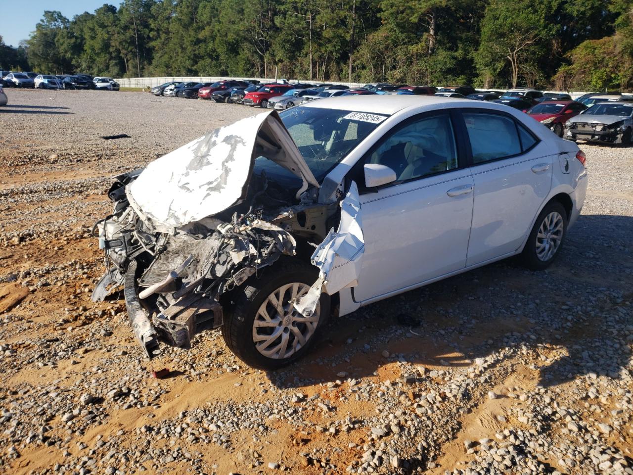 Toyota Corolla L Image 1