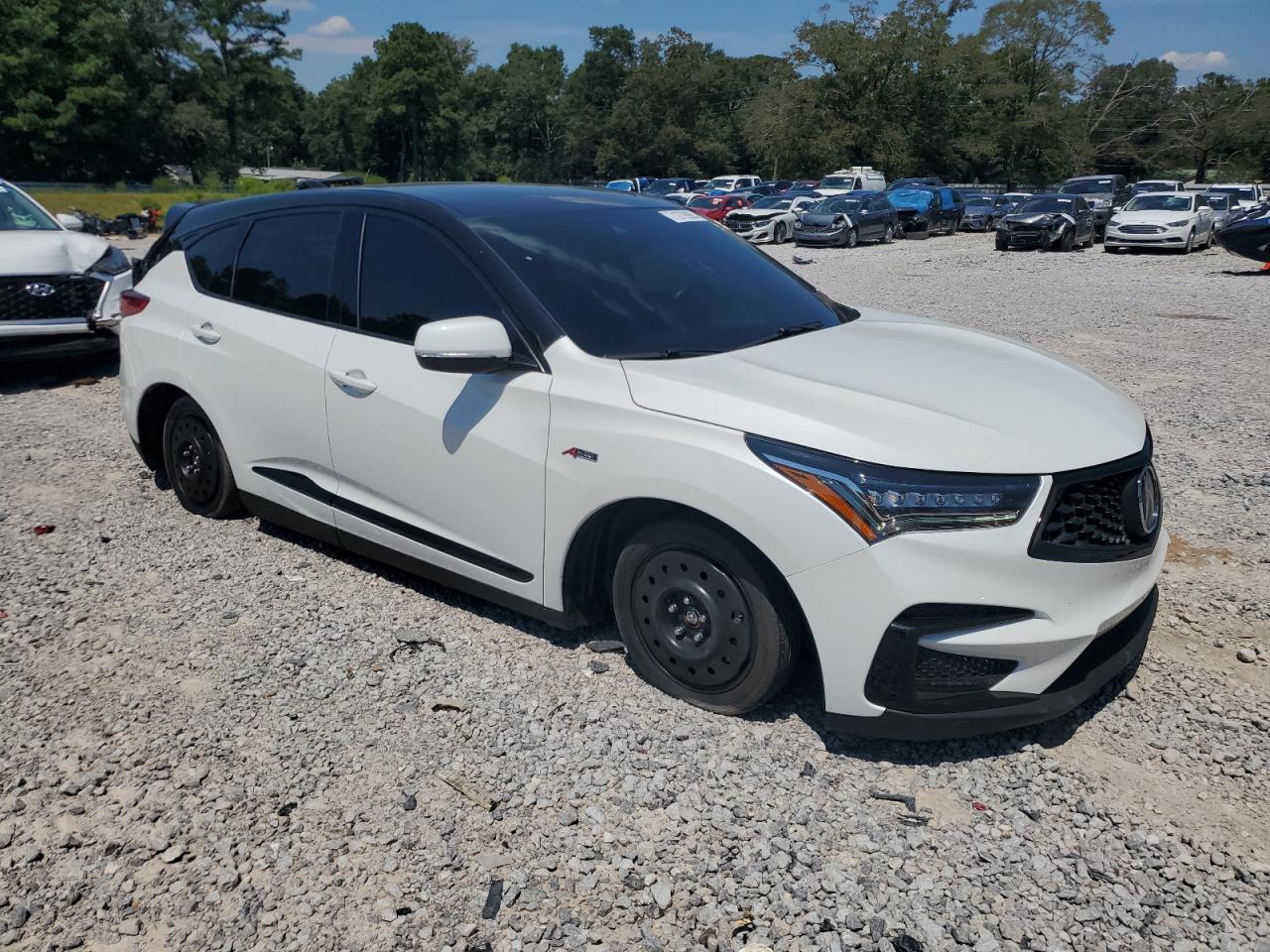 Acura RDX A-spec Image 6