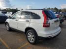 Honda Crv Se Image 12