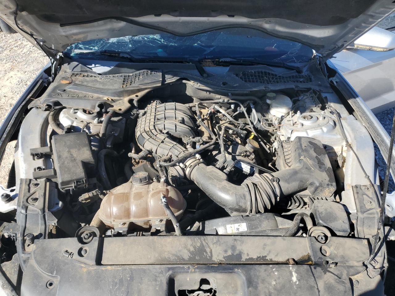 Ford Mustang Image 3