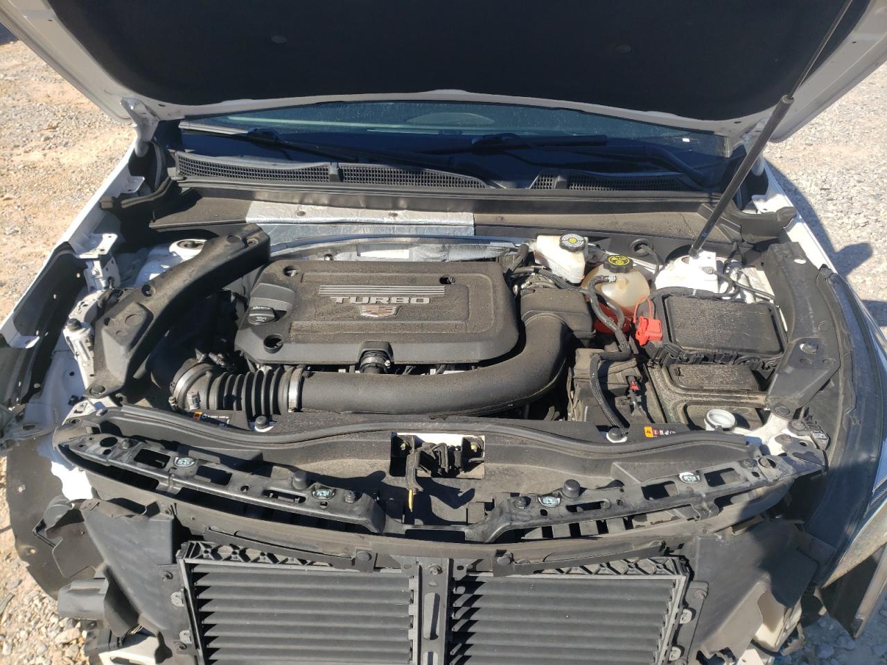 Cadillac XT4 Premium Luxury Image 9