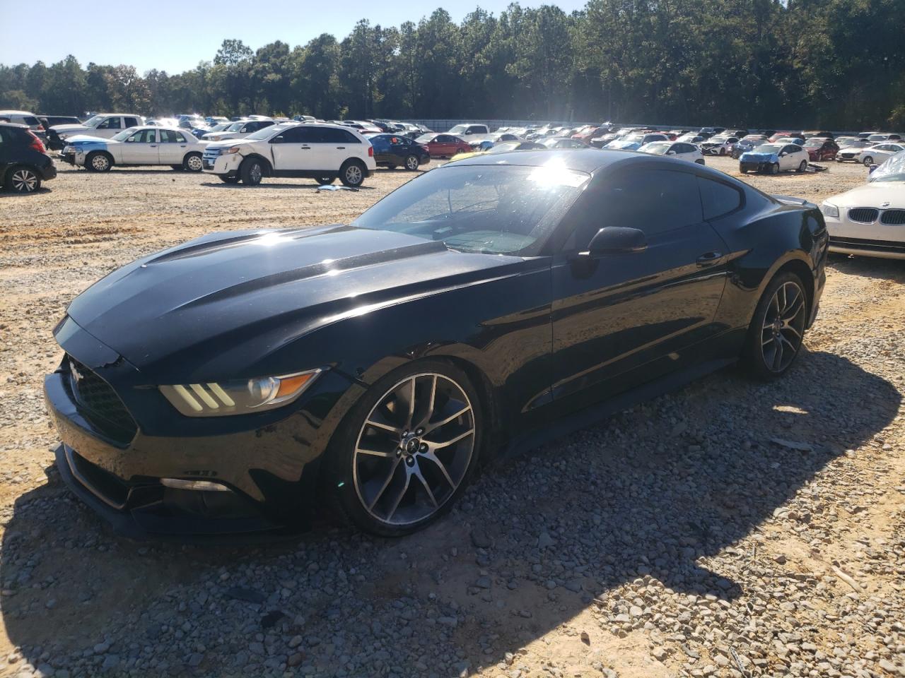 Ford Mustang Image 1