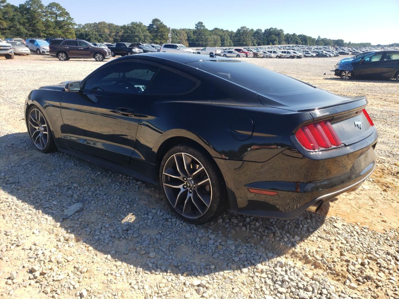 Ford Mustang Image 6