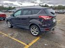 Ford Escape Sel Image 5
