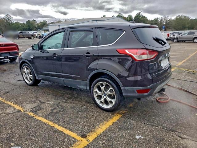 Ford Escape Sel Image 5