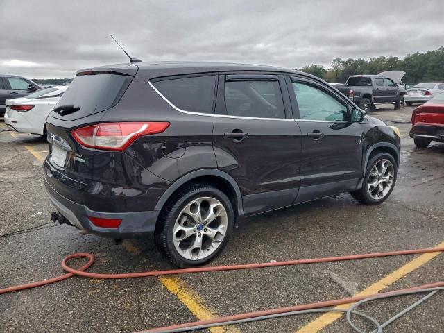 Ford Escape Sel Image 6