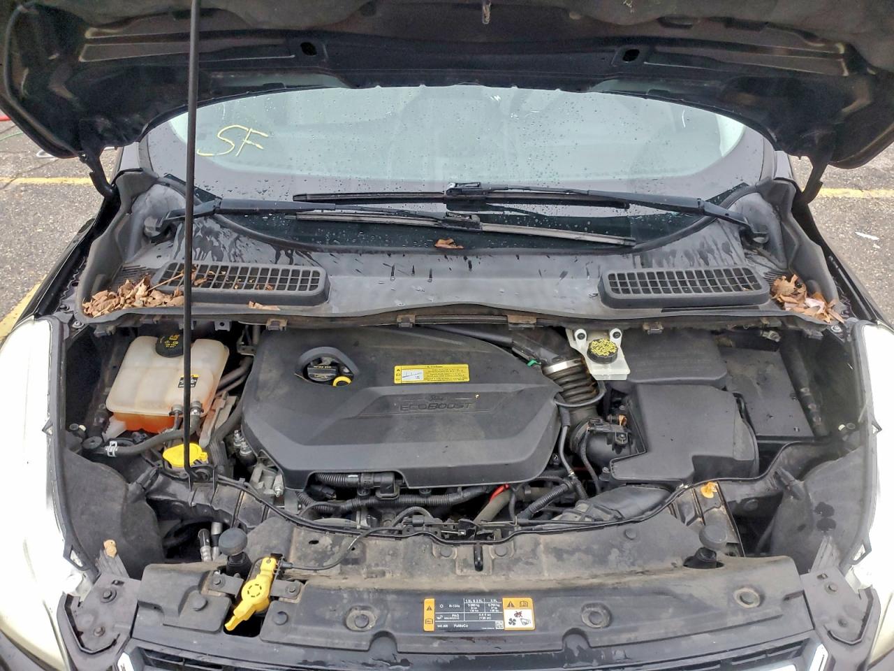 Ford Escape Sel Image 7