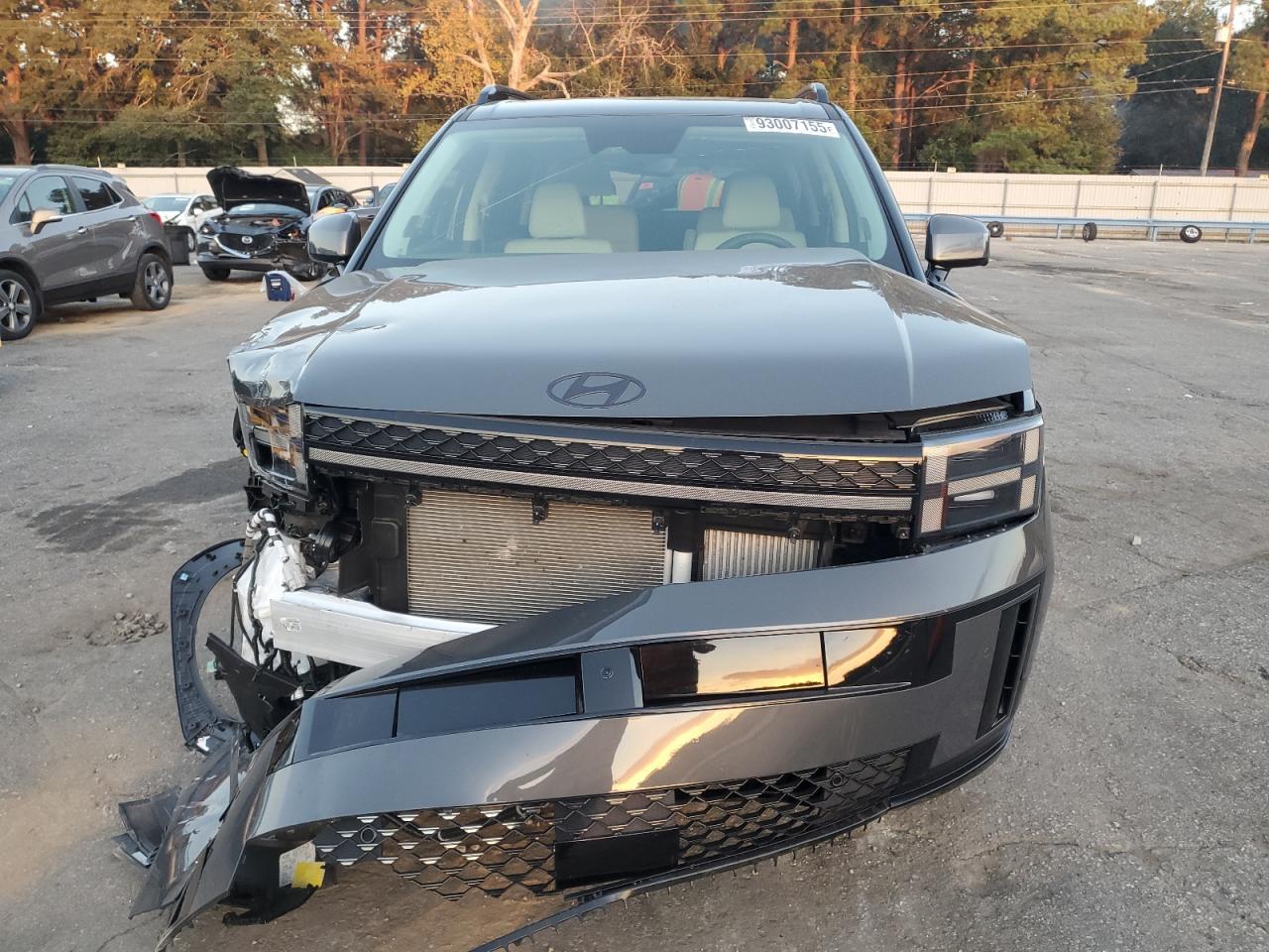 Hyundai SANTA FE Calligraphy Image 3