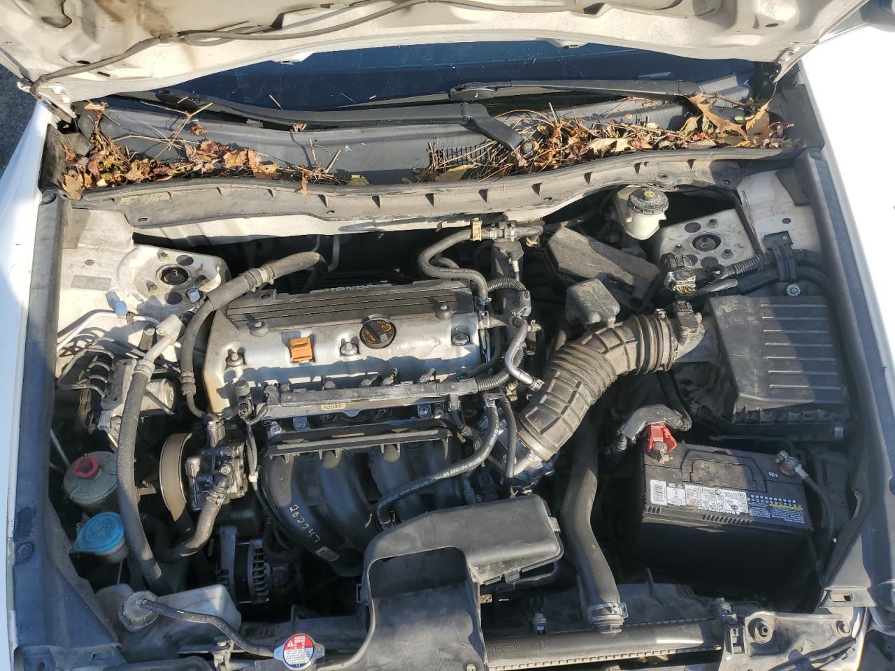 Honda Accord Se Image 11