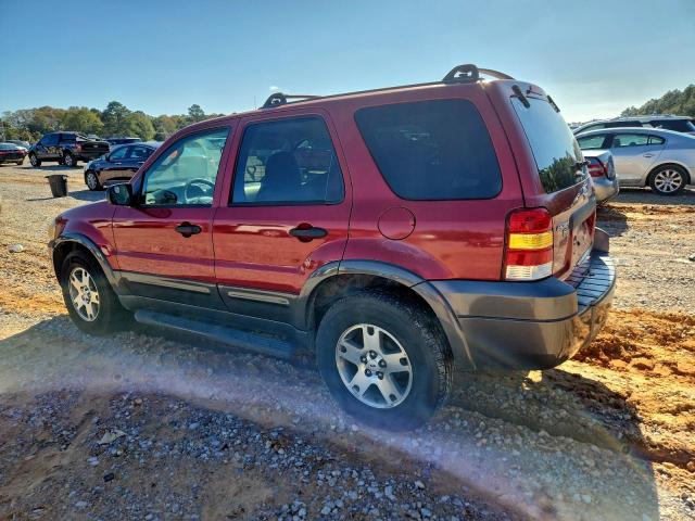 Ford Escape Xlt Image 11