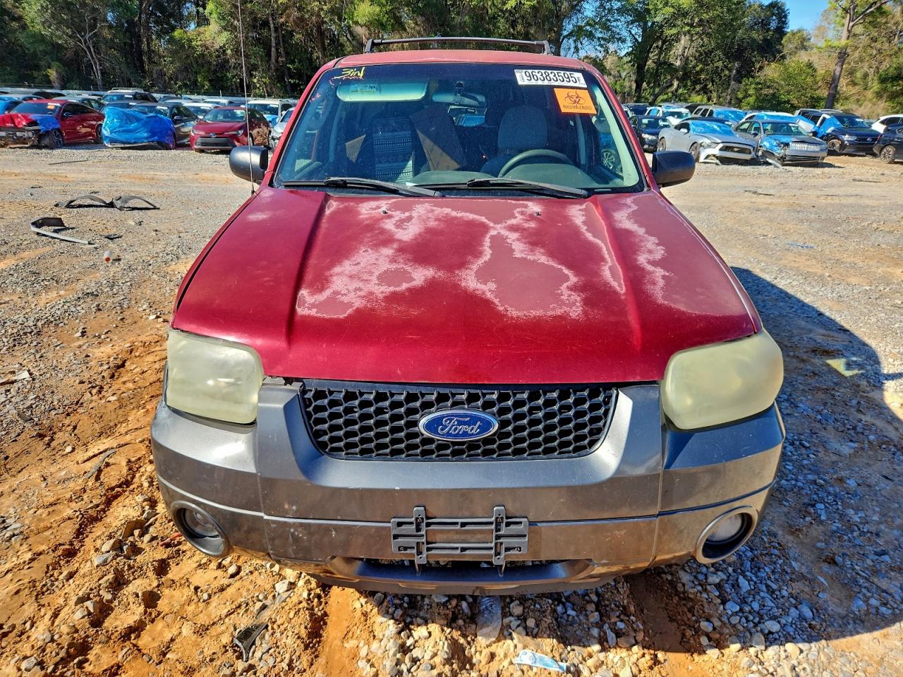 Ford Escape Xlt Image 4