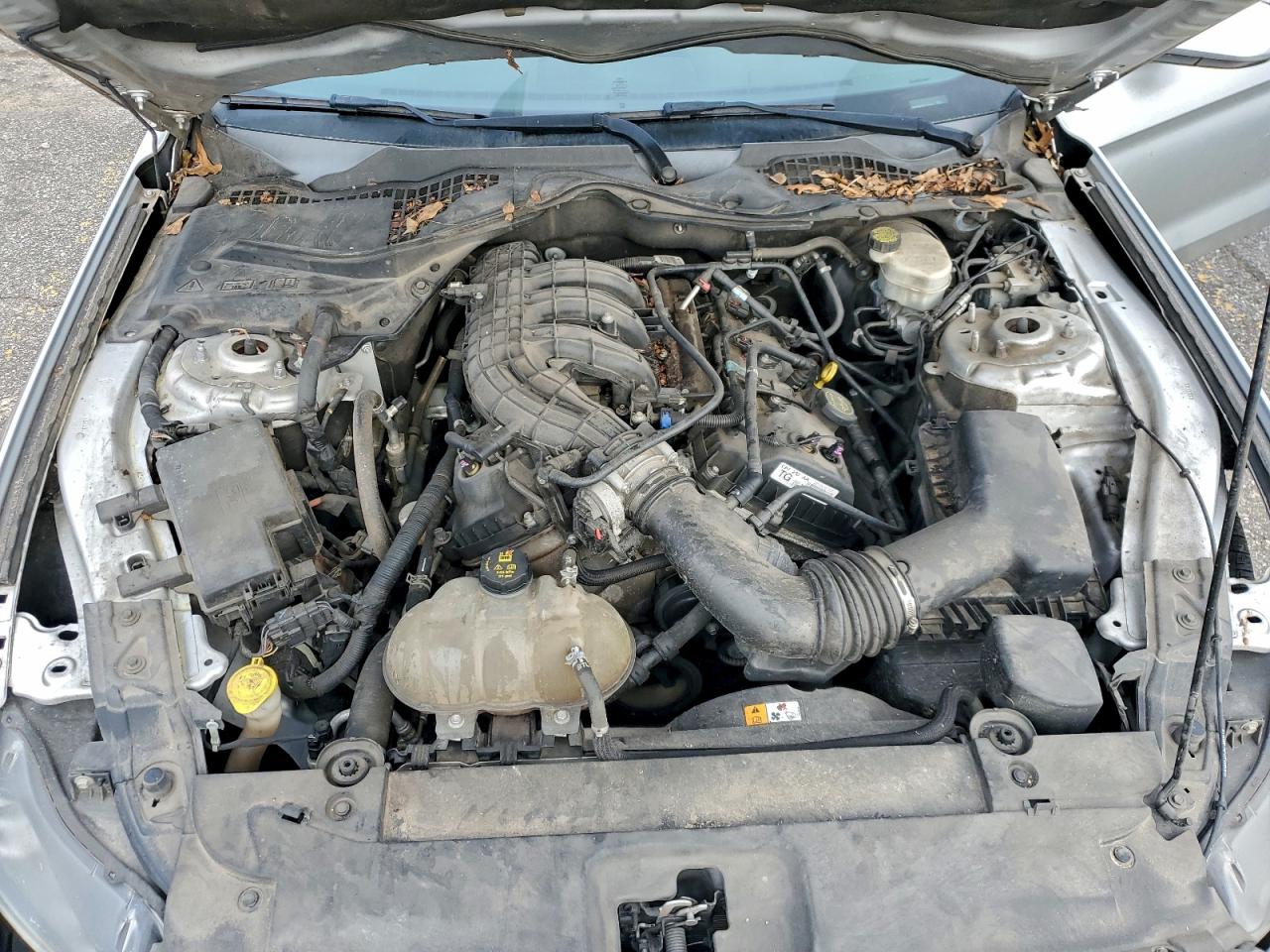 Ford Mustang Image 10