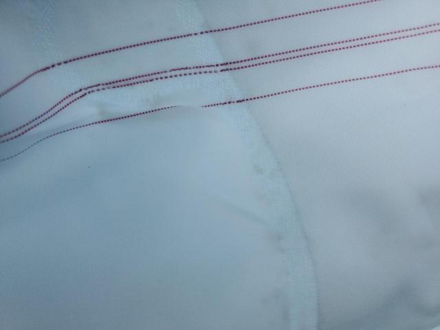 Lexus RX 350 Premium Image 13