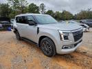 Nissan Armada Sl Image 13