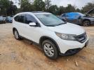 Honda Crv Exl Image 3