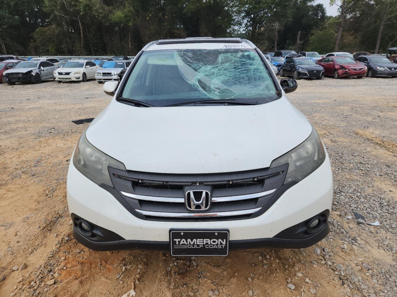 Honda Crv Exl Image 2