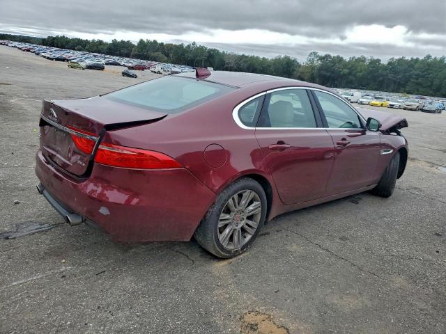 Jaguar XF Premium Image 5