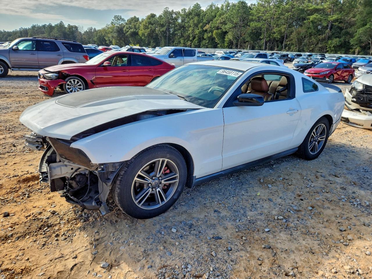 Ford Mustang Image 1