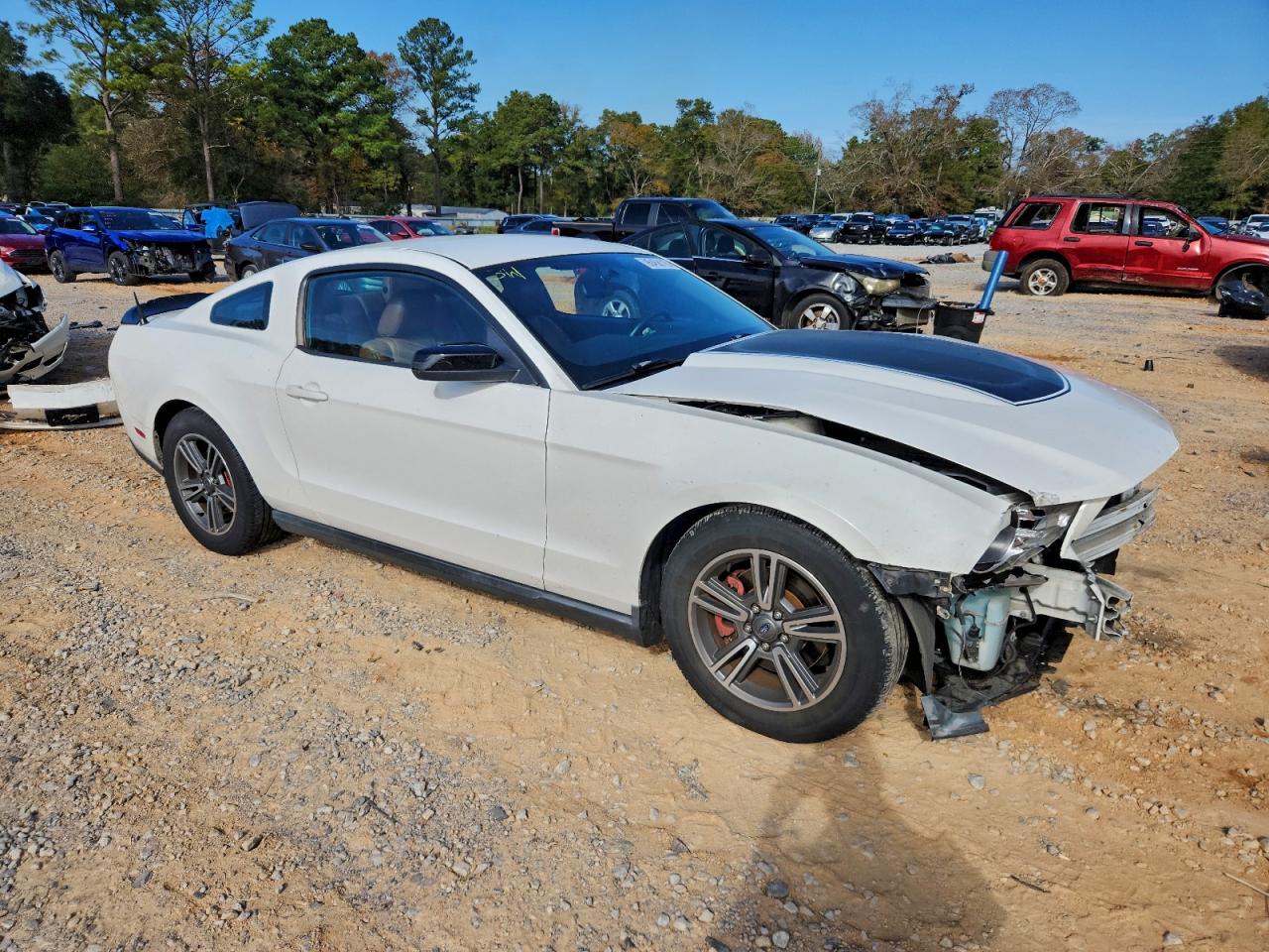 Ford Mustang Image 13