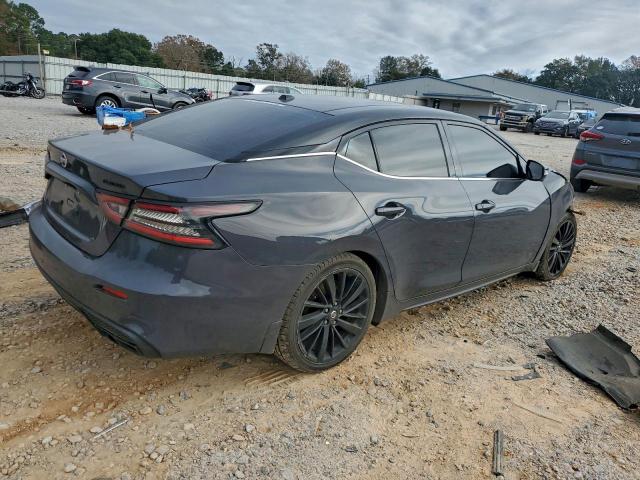 Nissan Maxima Platinum Image 2