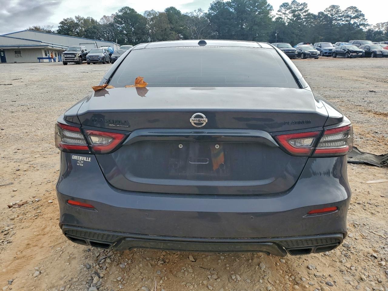 Nissan Maxima Platinum Image 6