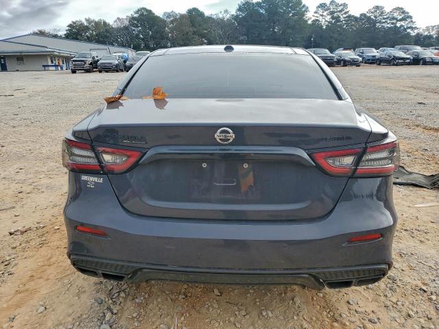 Nissan Maxima Platinum Image 6