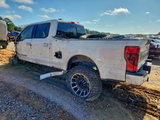 Ford F-250 Super Duty Image 3