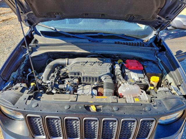 Jeep Renegade Trailhawk Image 11