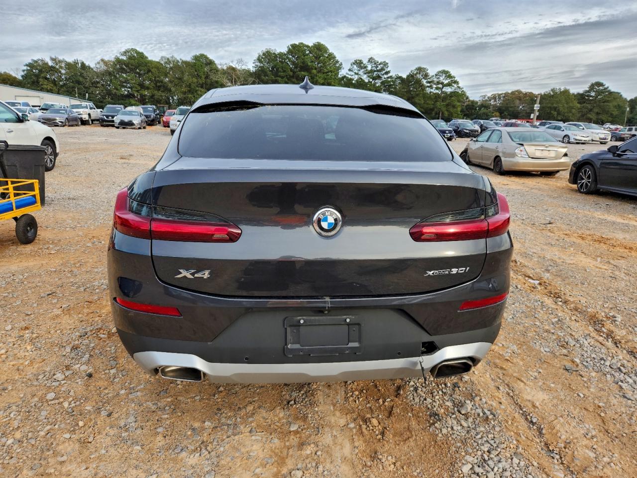 BMW X Series Xdrive30i Image 5