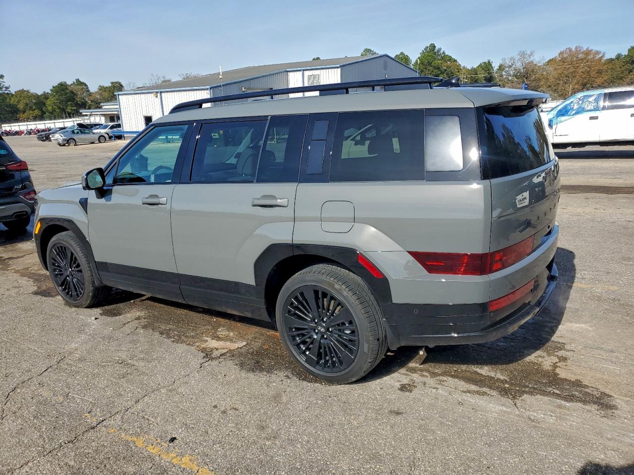 Hyundai SANTA FE Calligraphy Image 5