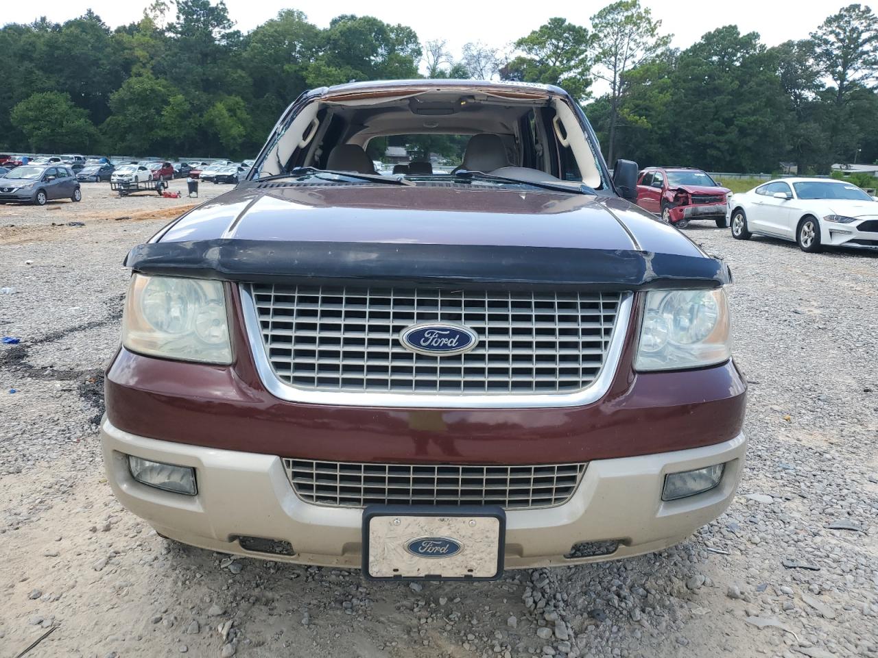 Ford Expedition Eddie Bauer Image 13