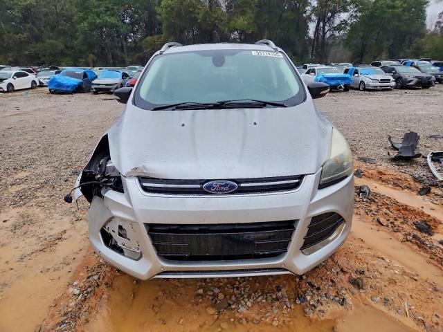 Ford Escape Titanium Image 9