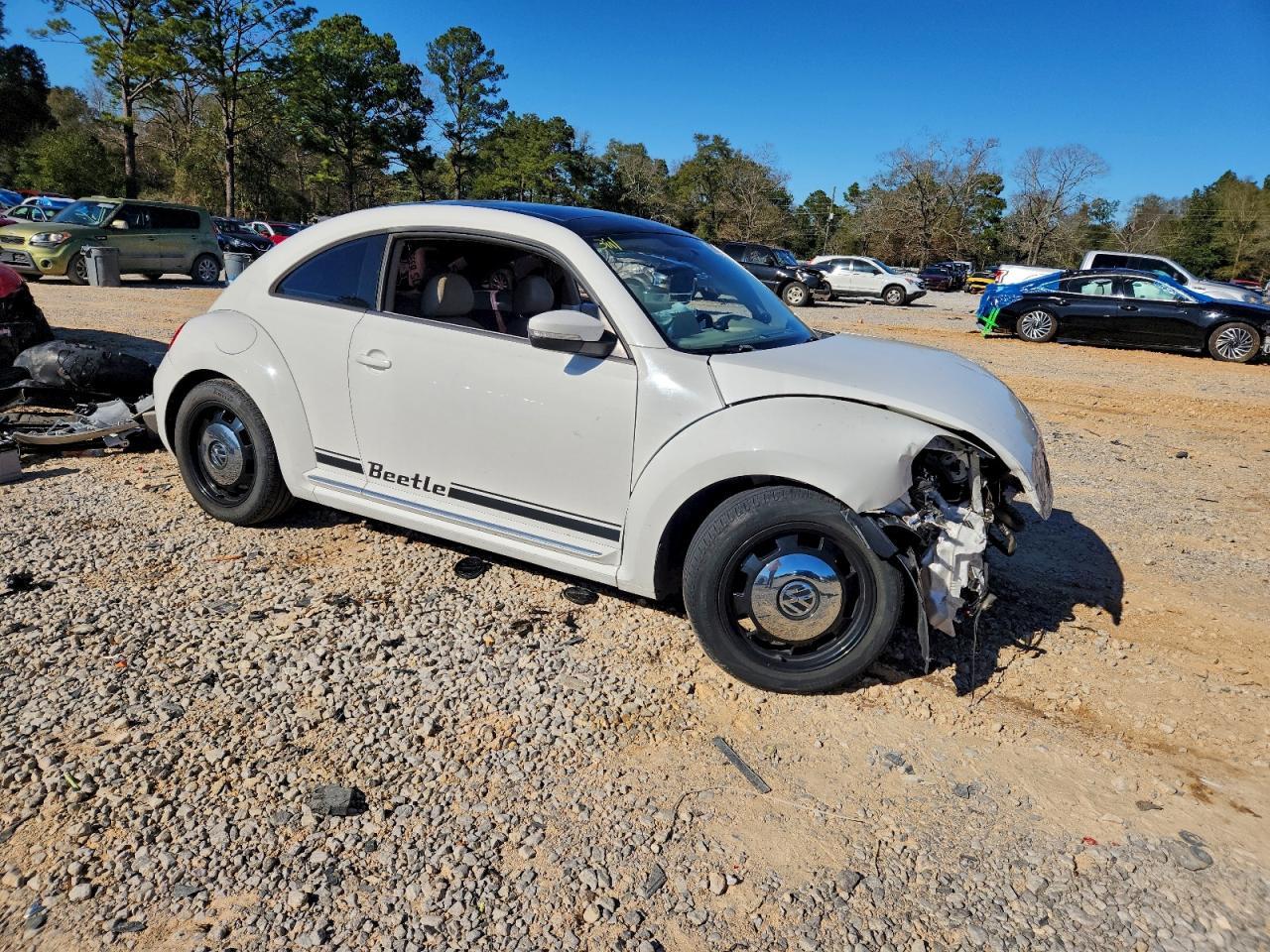 Volkswagen Beetle Image 2