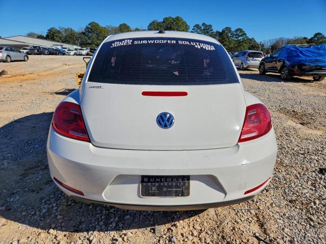 Volkswagen Beetle Image 6