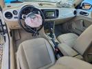 Volkswagen Beetle Image 5