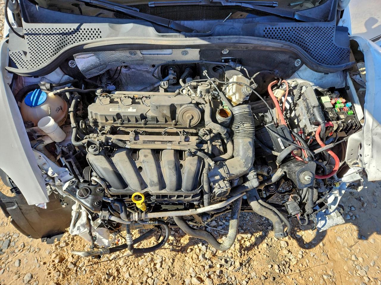 Volkswagen Beetle Image 10