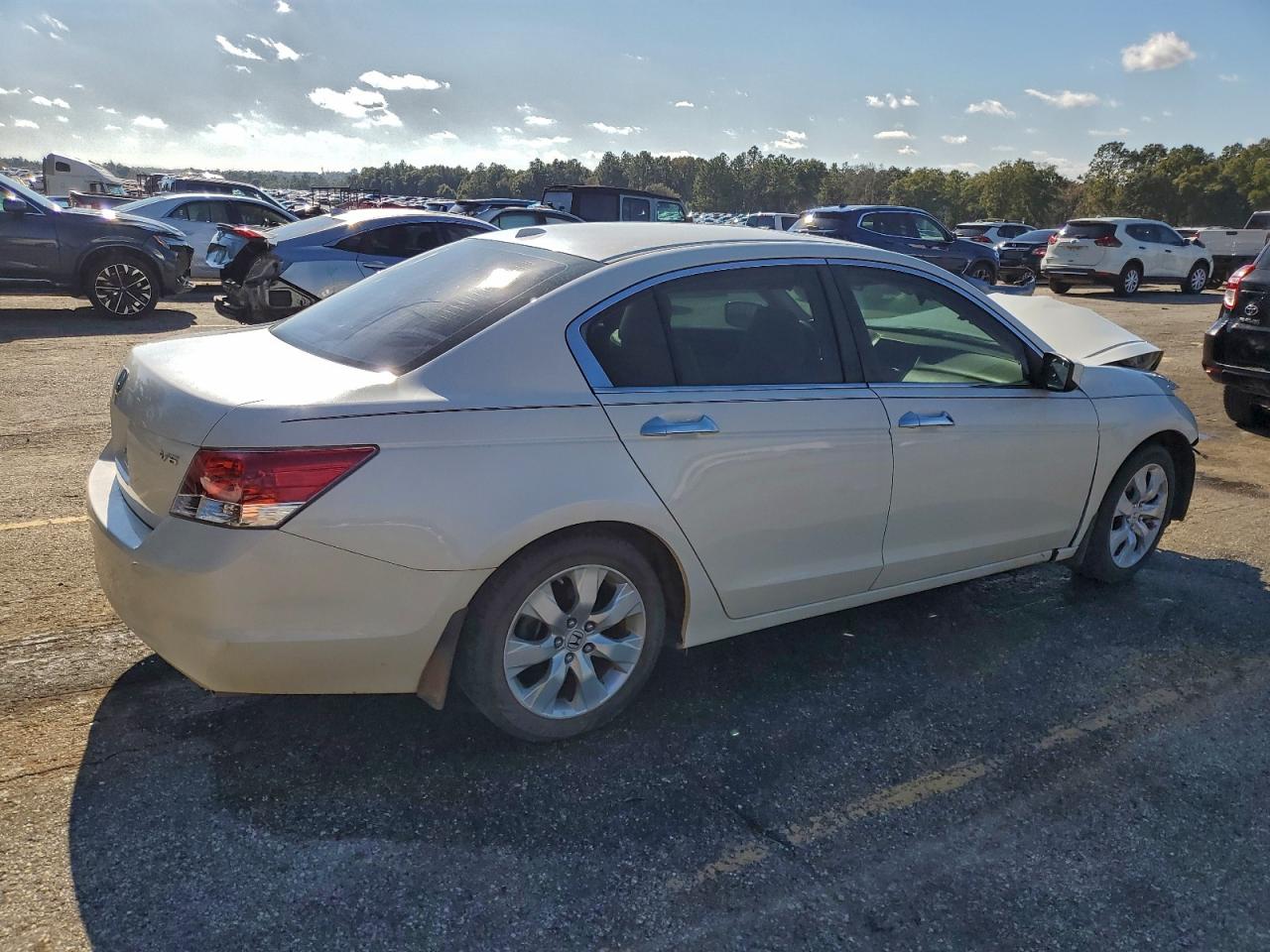 Honda Accord Exl Image 8